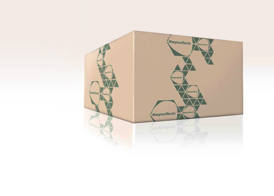 bayoutech.mesh1